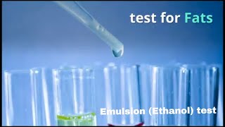 Food test  Emulsion ethanol test for Fats IGCSE GCSE AQA O level Cambridge Checkpoint [upl. by Cheung]