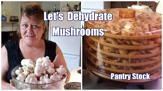 Lets Dehydrate Mushrooms  Pantry Stock [upl. by Ahsehyt225]