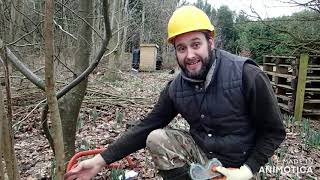 An intro to Coppicing [upl. by Ahselat]