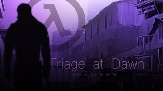 Triage at Dawn  Synth Remix [upl. by Pilif]