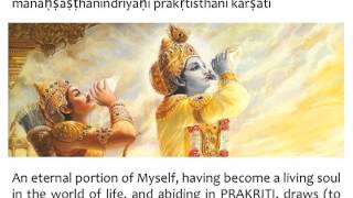 Bhagavad Gita Chapter 15  Verse 7 [upl. by Filberte113]