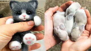 AWW Animals SOO Cute Cute baby animals Videos Compilation cute moment of the animals 14 [upl. by Llain]