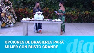 Opciones de brasieres para mujer con busto grande [upl. by Fransen]