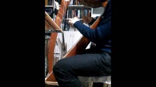 DBZ  Tapion Theme Played With Harp [upl. by Faso]