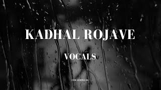 Kadhal rojave song vocals  vocals only VocalsOnly01 [upl. by Nnep205]