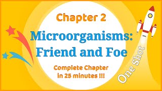 Class 8 Microorganisms Friend and Foe OneShot  Complete Chapter in 25 minutes   LearnFatafat [upl. by Cati]