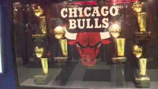 CHICAGO BULLS TROPHIES [upl. by Aiekahs868]