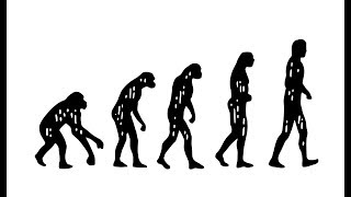 What is Darwin’s Theory of Evolution [upl. by Kavanaugh387]