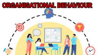 Meaning of Organisational behaviour Importance of Organisational Behaviour BCOM BBA MCOM MBA [upl. by Elcarim]