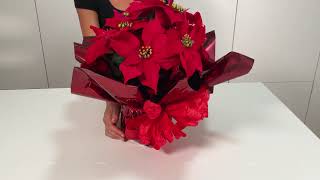 Christmas is coming 🎄🎄🎄How to Gift Wrap a Poinsettia [upl. by Oreste]