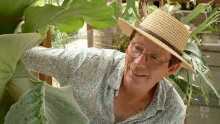 Gardening Australia 2024 🍀 Series 35 Episode 16  Autumn Fantastic ferns amp rooftop farming [upl. by Dolores]