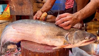 Amazing Big Wallago Catfish Cutting Live In Fish Market  Fish Cutting Skills [upl. by Anyahc715]