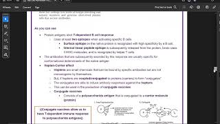 Immunology9B Cell Activation 2 [upl. by Pasahow]