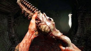 SCORN Gameplay Trailer 2019 [upl. by Anaile]