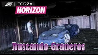 Forza Horizon Localización de Todos los Graneros [upl. by Odlamur553]