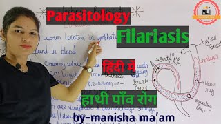 Filariasis हाथीपाँव  wuchereria bancrofti  Microfilaria  Mlt Lecture  Parasitology [upl. by Cacka]