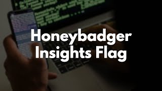 Adding Insights Flag to the Honeybadger RubyGem [upl. by Yerfoeg630]