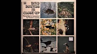 Bird Sounds in Close Up  Recorded and Compiled by Victor C Lewis  1969  Vinyl Rip  Full Album [upl. by Rednav865]