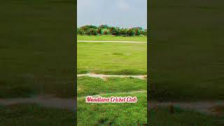 Ground cricket [upl. by Couq]