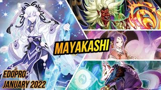 MAYAKASHI  EDOPro  January 2022  YuGiOh [upl. by Anecusa]