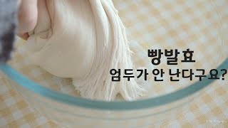 집에서 누구나 제일 쉽게 빵 발효 할 수 있는 방법 빵은 만들어 먹기로 해요 [upl. by Geirk]