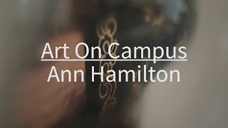 Art On Campus Ann Hamilton [upl. by Trinidad129]