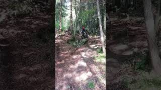 BIG STEP and WALL  JUMP  Trial Montesa 301 trials honda training jump extreme [upl. by Eremihc]