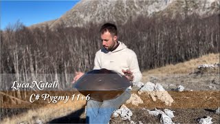 MrPans handpan  C Pygmy 116  Luca Natali [upl. by Lucina]