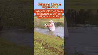 Unbelievable 74yearold man in Florida pulled his puppy out of an alligators mouth shorts [upl. by Ehtylb]