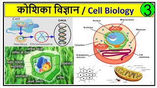 3 कोशिका विज्ञान  Cell Biology  कोशिका क्या है  what is cell  कोशिका के प्रकार  Types of Cells [upl. by Adlecirg169]