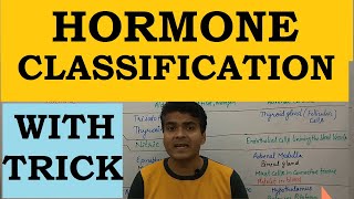 Hormone in Hindi  Hormone Classification Tricks  Site of Secretion  Endocrine System  MCQ  NEET [upl. by Neelon]