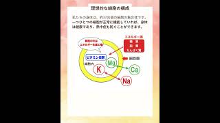 熱中症の原因は暑さではなく○○不足 [upl. by Droflim]