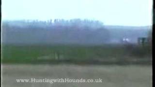 Kippers Bitch Vs The Captain  Pre Ban Hare Coursing [upl. by Oakes171]