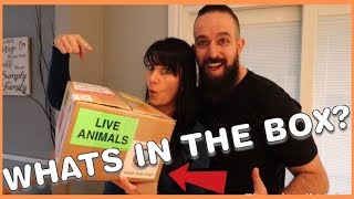 BABY MONITOR UNBOXING amp MAIL [upl. by Aiciles]