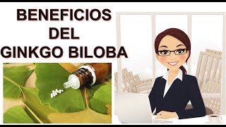 BENEFICIOS DEL GINKGO BILOBA [upl. by Raffo562]