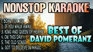 BEST OF DAVID POMERANZ  Nonstop Karaoke [upl. by Adnamahs]