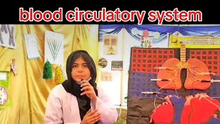 circulatory system blood cardiovascular system blood circulatory system the circulatory system [upl. by Kingsly]