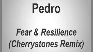 Pedro  Fear amp Resilience Cherrystones Remix [upl. by Salene899]