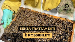 I Nuclei 2024 sono anche loro Resistenti alla Varroa [upl. by Enyahs]