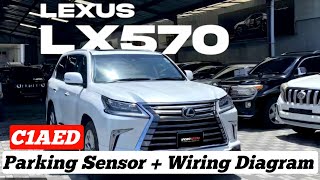 C1AED Rear Sensor Communication Circuit Lexus Lx570  Wiring Diagram  Solution 💯 🔥 [upl. by Eppie]