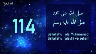 1000 Salavat  SALLALLAHU ALA MUHAMMED SALLALLAHU ALAYHI VE SELLEM [upl. by Anayet]