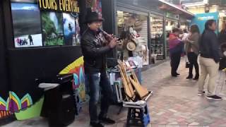 Ecuadorian traditional music pan pipes [upl. by Jegar]