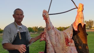 How to Harvest every part of Grass Fed Beef on the Farm [upl. by Pammy568]