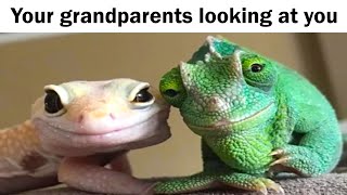 Wholesome Memes to Share With Your Grandparents [upl. by Eibloc]