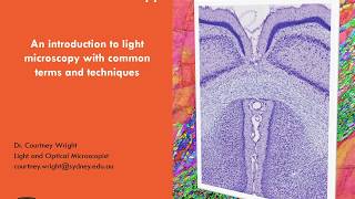 Intro to Light Microscopy 1 Microscopy Basics [upl. by Euqinahc]