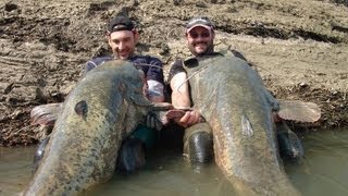 Catfishing Two Monsters Fish Record Over 220 pounds by Catfish World [upl. by Enoyrt]