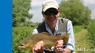 Chalkstream Fly Fishing at Broadlands on the River Test [upl. by Agnola985]