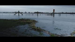 Hoogwater de Waal bij Nijmegen  27 Dec 2023 [upl. by Phillips]