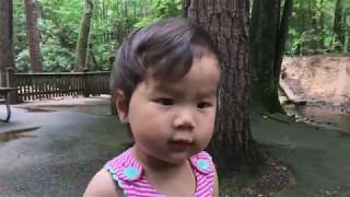 Cades Cove  Josie heads to the mountains  China Adoption [upl. by Helbona]