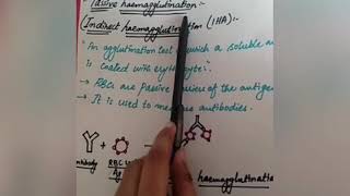 Haemagglutination and passive haemagglutination in urdu [upl. by Ennovart324]